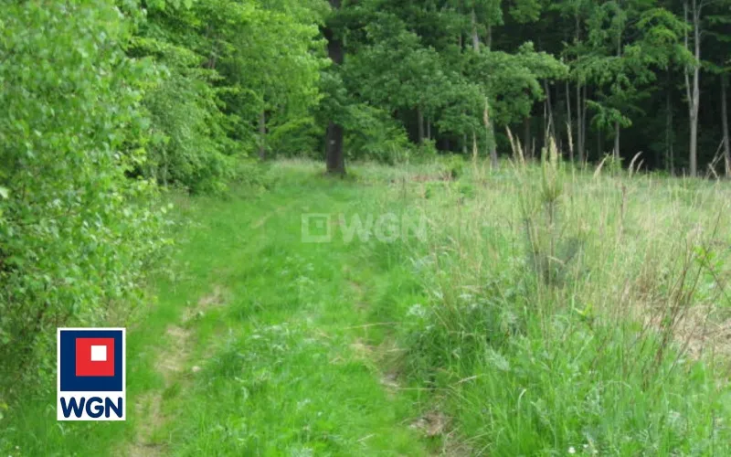 Grunt aktywizacja gospodarcza na  sprzedaż Kuropatnik - Działka budowlana inwestycyjna/uslugi i rekreacja Kuropatnik