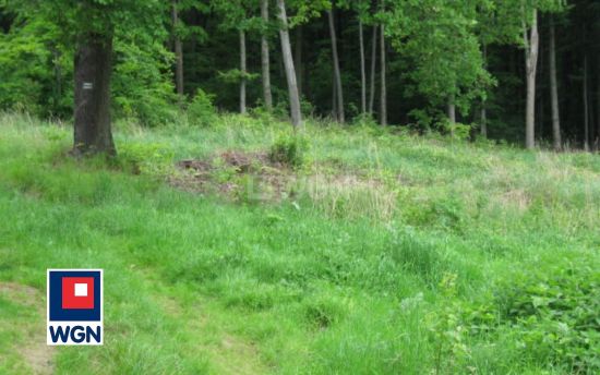 Grunt budowlany jednorodzinny na  sprzedaż Kuropatnik - Działka budowlana jednorodzinna / usługowa na sprzedaż Kuropatnik.